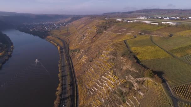 Moselle Nehri 'nin ünlü Alman Şarap Bölgesi' ndeki şarap fabrikalarının insansız hava aracı görüntüleri. — Stok video