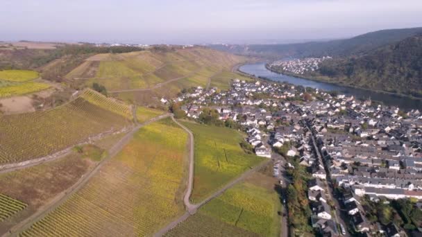Drönare antenn film vingård växter by winningen Berömda tyska vinregionen Mosel River med motorvägsbro A61 — Stockvideo