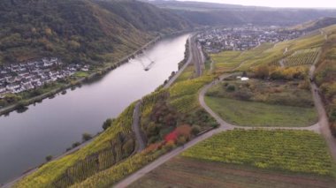 Moselle Nehri 'nin ünlü Alman Şarap Bölgesi' ndeki şarap fabrikalarının insansız hava aracı görüntüleri.