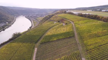 Moselle Nehri 'nin ünlü Alman Şarap Bölgesi' ndeki şarap fabrikalarının insansız hava aracı görüntüleri.