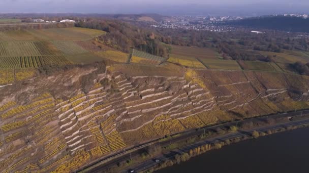 Drohnen-Luftaufnahmen von Weinbergspflanzen in Winningen — Stockvideo