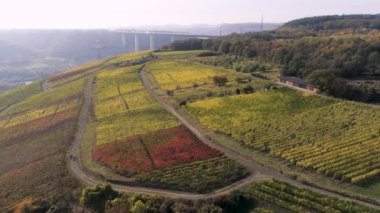 İnsansız hava aracı görüntüsü şarap mahzeni köy kazananı ünlü Alman Şarap Bölgesi Moselle Nehri ile A61 karayolu köprüsü