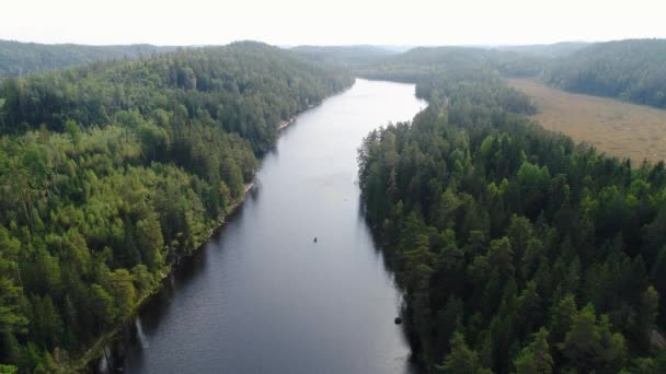 50fps coppia di riprese aeree Kayak Boat tour sul lago Ragnerudssjoen in Dalsland Svezia pinetree foresta naturale beutiful — Video Stock