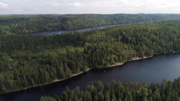 50fps casal de filmagens aéreas Passeio de barco de caiaque no lago Ragnerudssjoen em Dalsland Suécia belíssima natureza floresta pinetree — Vídeo de Stock