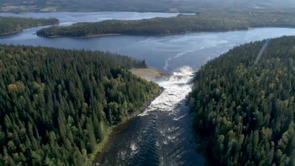 50fps drone aérien été célèbre cascade Tannforsen nord de la Suède arc-en-ciel dans la brume rapide cascades eau — Video