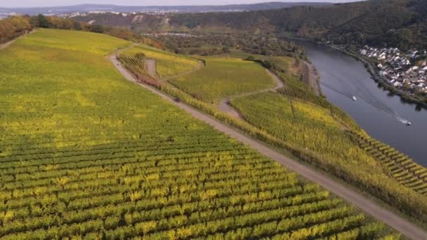 Bezpilotní letecké záběry vinic v obci winningen Slavný německý vinařský region Moselle River — Stock video