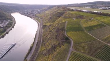 Moselle Nehri 'nin ünlü Alman Şarap Bölgesi' ndeki şarap fabrikalarının insansız hava aracı görüntüleri.