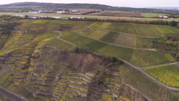 Rekaman udara drone tanaman kebun anggur di desa Winningen terkenal Wine Jerman Region Sungai Moselle — Stok Video