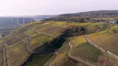 İnsansız hava aracı görüntüsü şarap mahzeni köy kazananı ünlü Alman Şarap Bölgesi Moselle Nehri ile A61 karayolu köprüsü