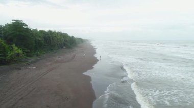 Tortuguero Ulusal Parkı Kaplumbağa Sahili Kosta Rika hava uçağı manzaralı