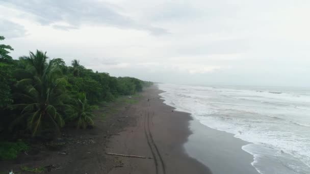 Tortuguero National Park sköldpadda strand kust Costa Rica antenn plan utsikt — Stockvideo