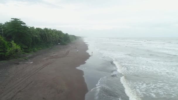 Parque Nacional Tortuguero costa de playa de tortugas Costa Rica vista aérea — Vídeo de stock