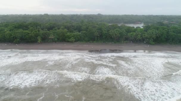 Tortuguero National Park turtle beach coast Costa Rica aerial plane view — Stock Video