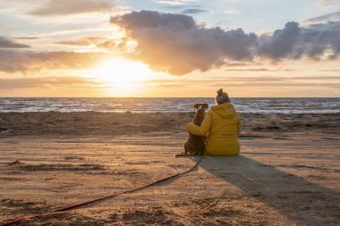 Bir Alman boksör köpeği gün batımında sahil kenarında oturuyor. Yanında sarışın takım arkadaşı İsveçli kız var..