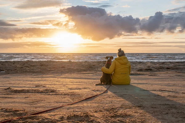 Bir Alman boksör köpeği gün batımında sahil kenarında oturuyor. Yanında sarışın takım arkadaşı İsveçli kız var..