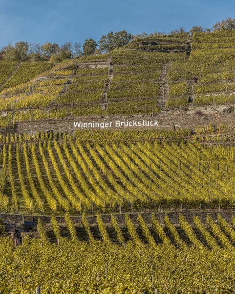 Famosa Región Vinícola Alemana Moselle River Lay Guels Pueblo Otoño — Foto de Stock