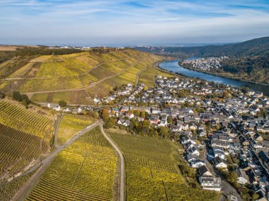 Hava manzaralı ünlü Alman Şarap Bölgesi Moselle Nehri Yatağı ve Guels Köyü Sonbahar Sonbahar Renkleri.