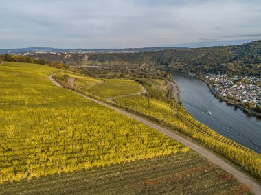 Hava manzaralı ünlü Alman Şarap Bölgesi Moselle Nehri Yatağı ve Guels Köyü Sonbahar Sonbahar Renkleri.