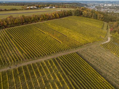 Hava manzaralı ünlü Alman Şarap Bölgesi Moselle Nehri Yatağı ve Guels Köyü Sonbahar Sonbahar Renkleri.