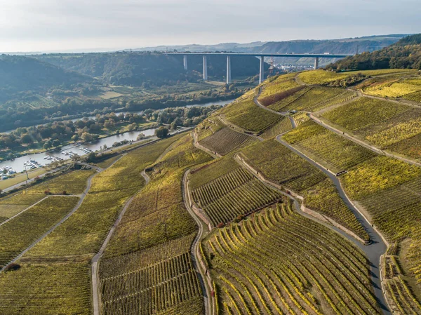 Aerial View Híres Német Borvidék Moselle River Lay Guels Falu — Stock Fotó