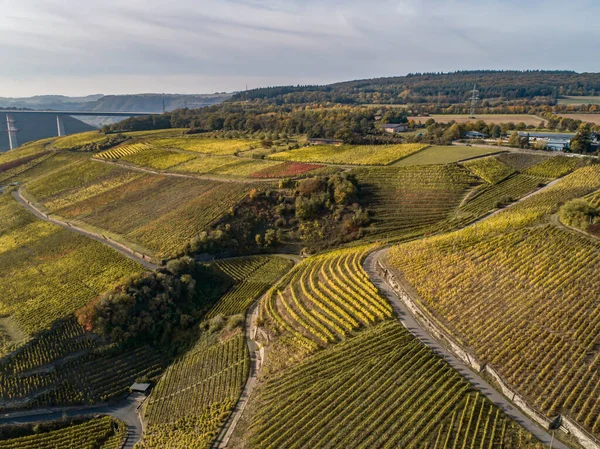 Vista Aérea Famosa Región Vinícola Alemana Mosela Río Lay Guels — Foto de Stock