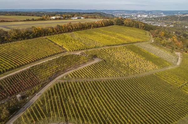 Vista Aérea Famosa Região Vinícola Alemã Moselle River Lay Guels — Fotografia de Stock