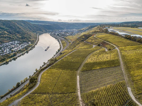 Vista Aérea Famosa Região Vinícola Alemã Moselle River Lay Guels — Fotografia de Stock
