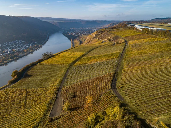 Pemandangan Udara Wine Wilayah Jerman Terkenal Sungai Moselle Lay Dan — Stok Foto