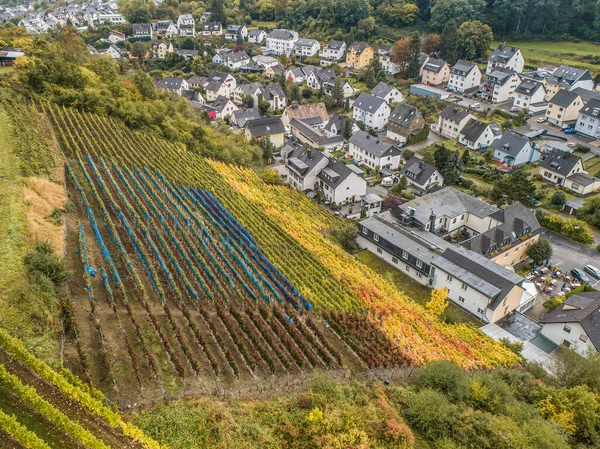 Aerial View Híres Német Borvidék Moselle River Lay Guels Falu — Stock Fotó