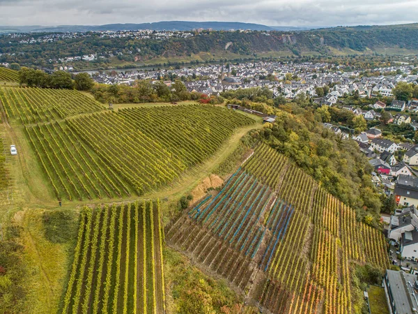 Aerial View Híres Német Borvidék Moselle River Lay Guels Falu — Stock Fotó