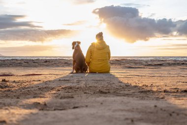 Bir Alman boksör köpeği gün batımında sahil kenarında oturuyor. Yanında sarışın takım arkadaşı İsveçli kız var..