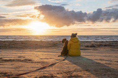 Bir Alman boksör köpeği gün batımında sahil kenarında oturuyor. Yanında sarışın takım arkadaşı İsveçli kız var..
