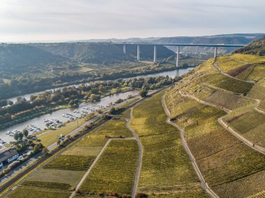 Hava manzaralı ünlü Alman Şarap Bölgesi Moselle Nehri Yatağı ve Guels Köyü Sonbahar Sonbahar Renkleri.
