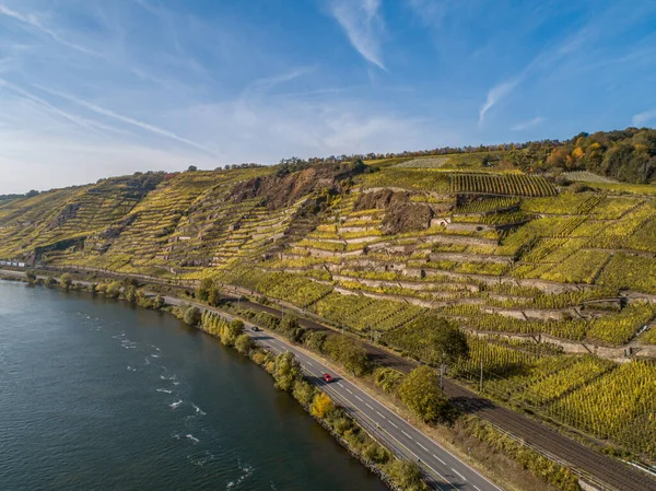 Vue Aérienne Célèbre Région Viticole Allemande Moselle Rivière Lay Guels — Photo