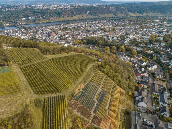 Aerial View Famous German Wine Region Moselle River Lay Guels — Stock Photo, Image