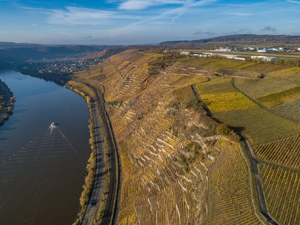 Pemandangan Udara Wine Wilayah Jerman Terkenal Sungai Moselle Lay Dan — Stok Foto
