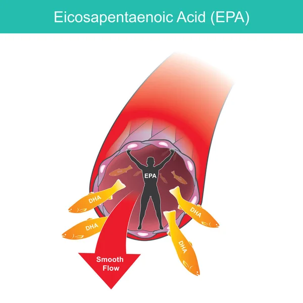エコサペンタエン酸だ 血液の円滑な流れに動脈壁の健康的なケアについての商業的な使用のためのイラスト — ストックベクタ