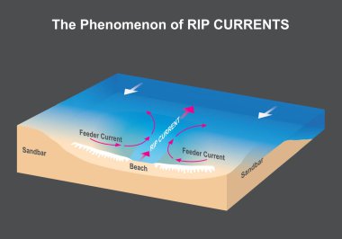 RIP CURRENTS 'İN OLARI. Deniz ve plaj figürleri RIP CURRENTS 'in tehlikeli fenomenini açıklar..