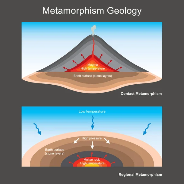 Metamorphism Geology Illustration Explain Geology Education Metamorphism Stone Layers — Vetor de Stock