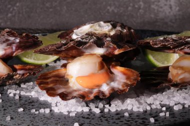 Taze ve Kızarmış Deniz Ürünleri