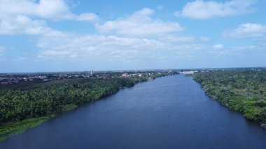 Barreirinhas Preguia Nehri Sao Luiz do Maranho Brezilya