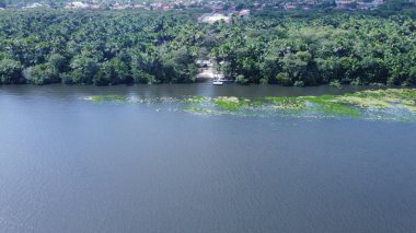 Barreirinhas Preguia Nehri Sao Luiz do Maranho Brezilya