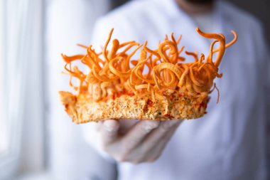 Adenozin Cordyceps Tedavisi. Adenosine Cordycepin. Mantar insan sağlığı. Cordyceps Askeri Mantar