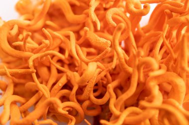 Fungi for Human Health. Treatment with Adenosine. Using cordycepin. Cordyceps Militaris mushroom. White background. Fresh Cordyceps.