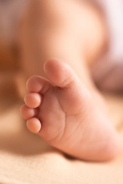 Baby Feet Parent Hands Father Her Child Feet Newborn Baby — Stock Photo, Image