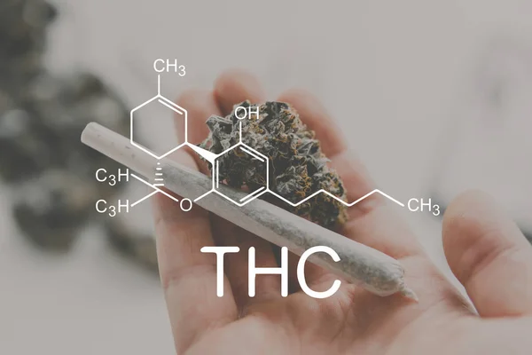 Thc Fórmula Química Plantas Cannabis Con Molécula Tetrahidrocannabinol — Foto de Stock