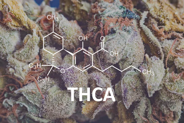 Cannabidiol molekülü ile THCA. Kenevir kimyasal formül. Tetrahydrocannabinolic asit