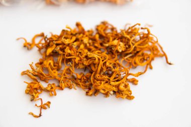 Kuru kordyceps. Adenozin tedavisi. Kuru Taze Cordyceps. Askeri mantar. Askeri mantar. Kordycepin kullanıyorum. İnsan Sağlığı Mantarları. Vakumlu paketlerde kurumuş taze Cordyceps. Kuru kordyceps.