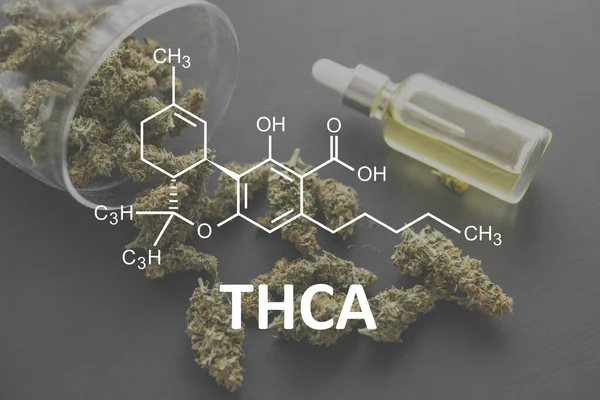 Marihuana bitkisi. Kenevir yağı Bitkisel Tedavi, Alternatif İlaç Kenevir yağı Tetrahydrocannabinolic asit