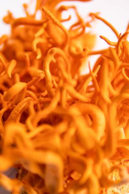 Cordyceps Askeri mantarı. Dikey çekim. Beyaz arka plan. Taze Cordyceps. Kordycepin kullanıyorum. Adenozin tedavisi. İnsan Sağlığı Mantarları.